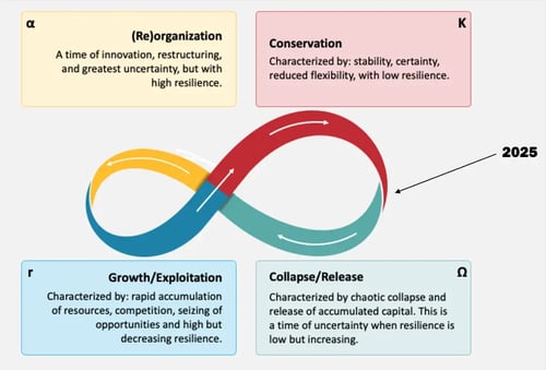 Higher ed release cycle
