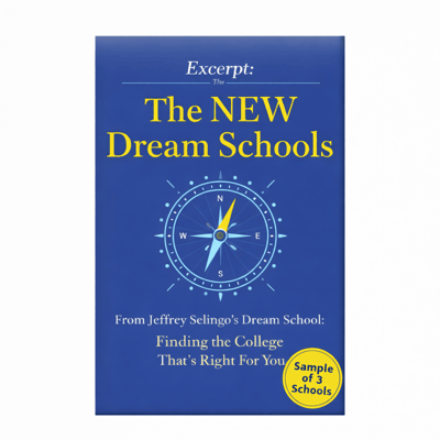 Blue background with text "Excerpt: The NEW Dream Schools" and an illustration of a compass.